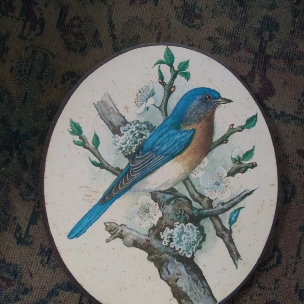 Vintage Oval Robin picture